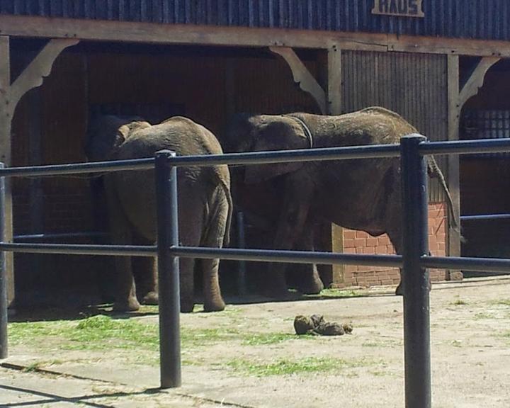 Tierpark-Restaurant